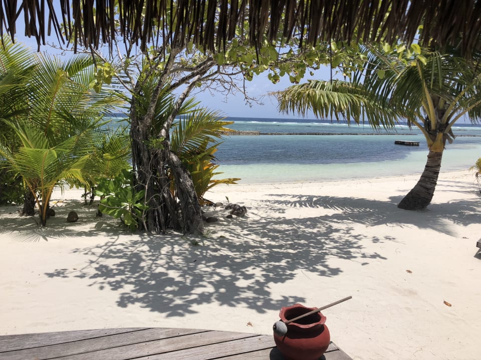 Ausblick Kuredu Island Resort & Spa