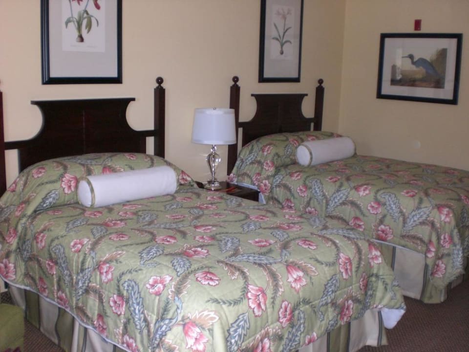 Zimmer Plantation on Crystal River