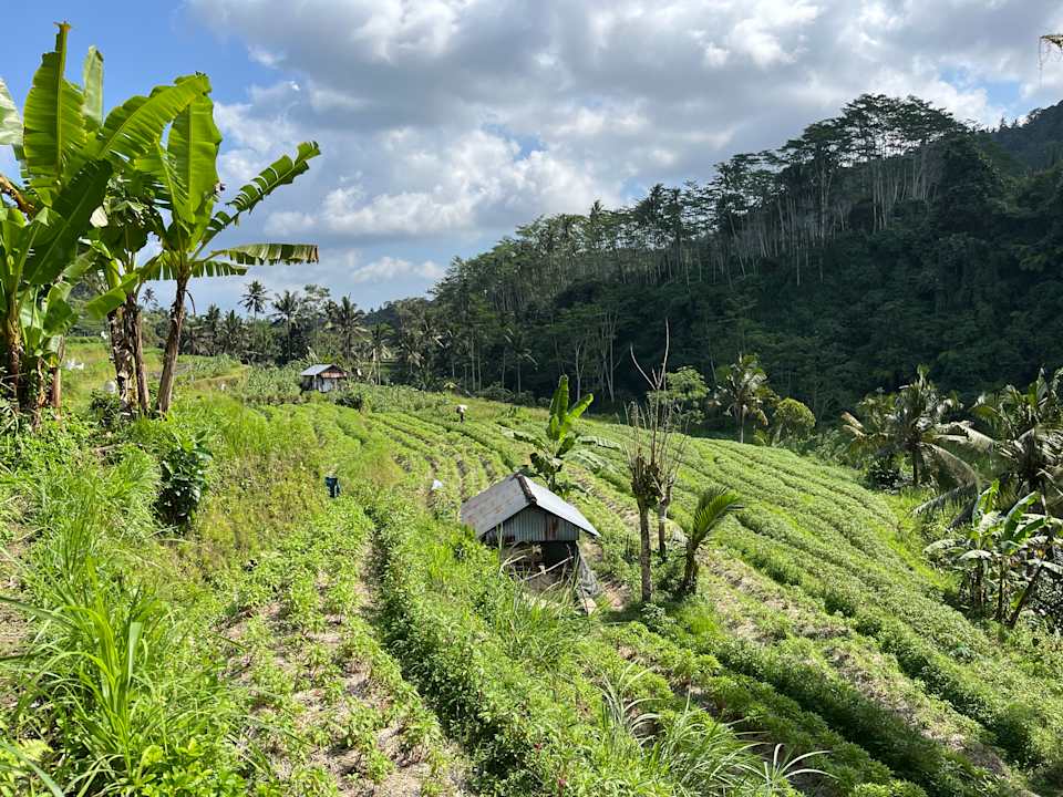 Sonstiges Hotel Kebun Impian