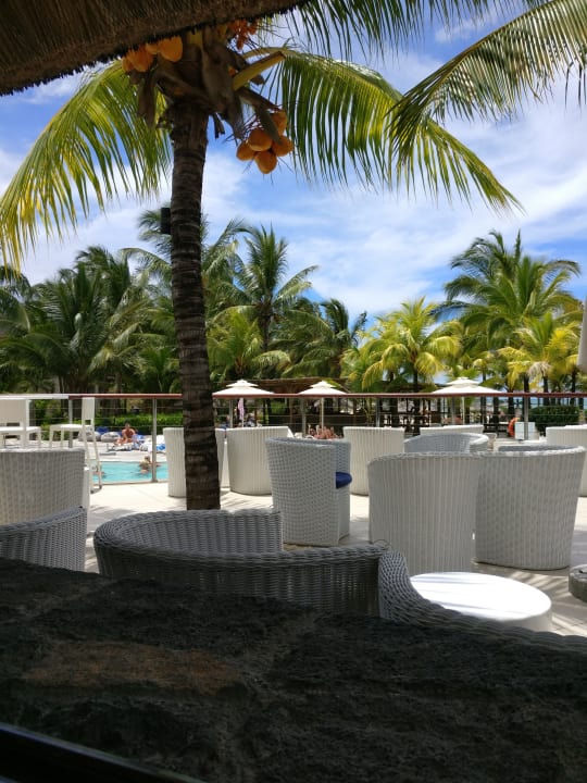 Gastro Lagoon Attitude - Adults only