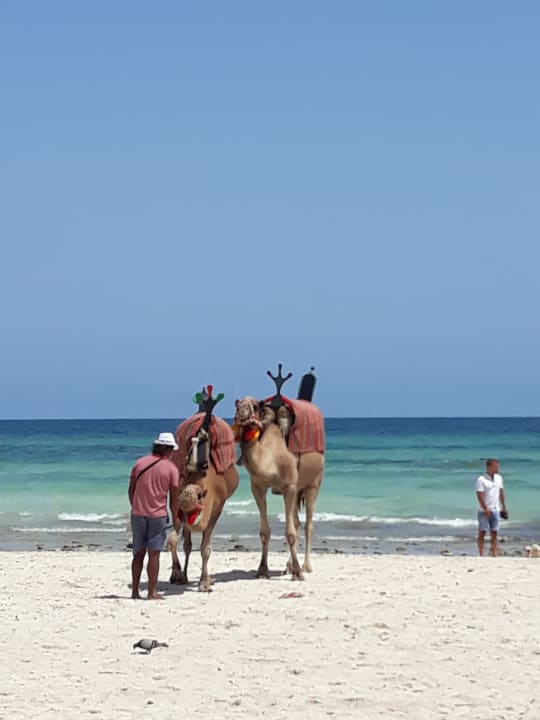 Strand Calimera Yati Beach