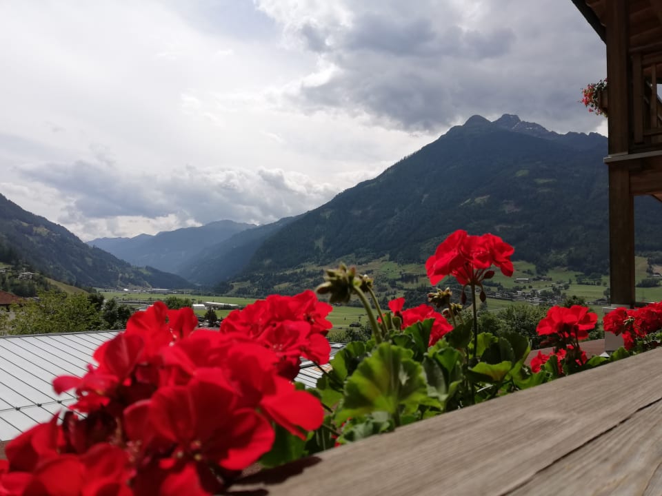 Ausblick Naturhotel Outside