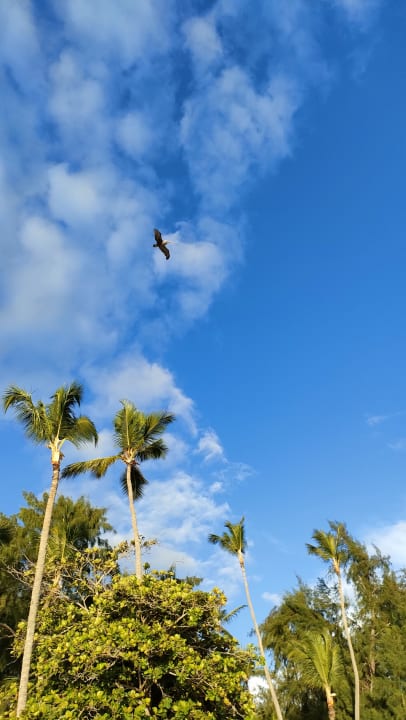 Ausblick Impressive Premium Punta Cana