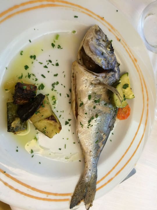 Frischer Fisch! Hotel Viticcio