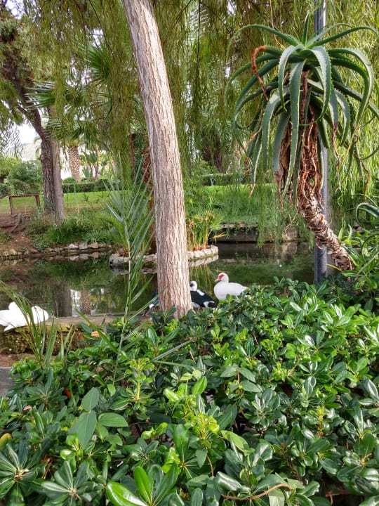 Außenansicht Aldiana Club Rocca Nettuno Calabria