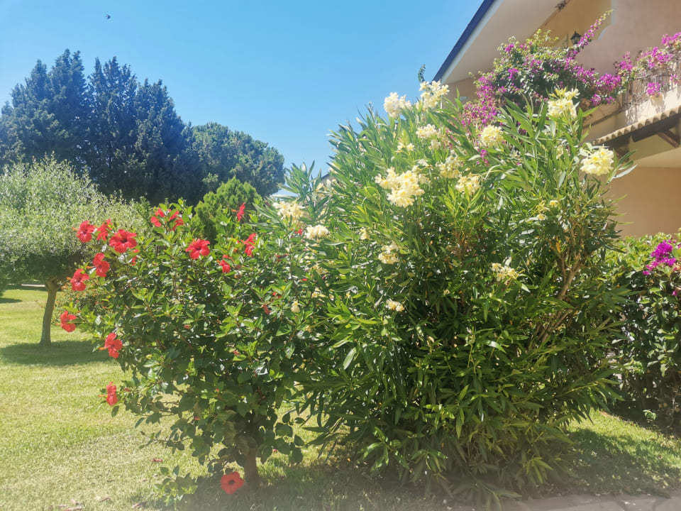 Gartenanlage BV Borgo del Principe