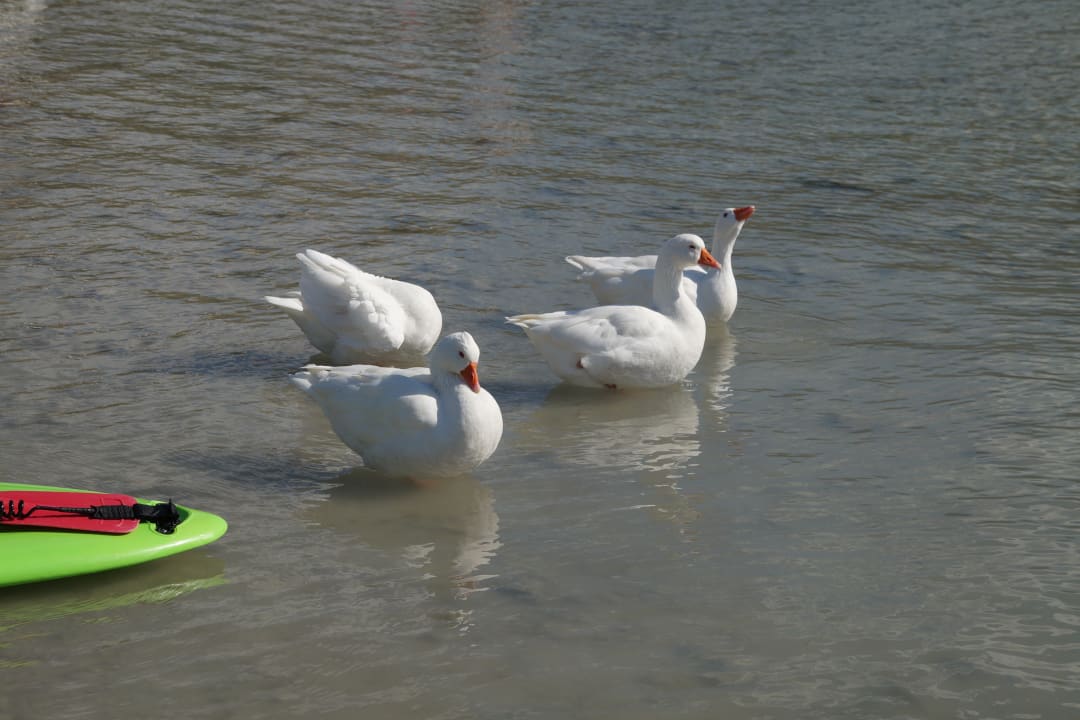 Strand Anemos Luxury Grand Resort