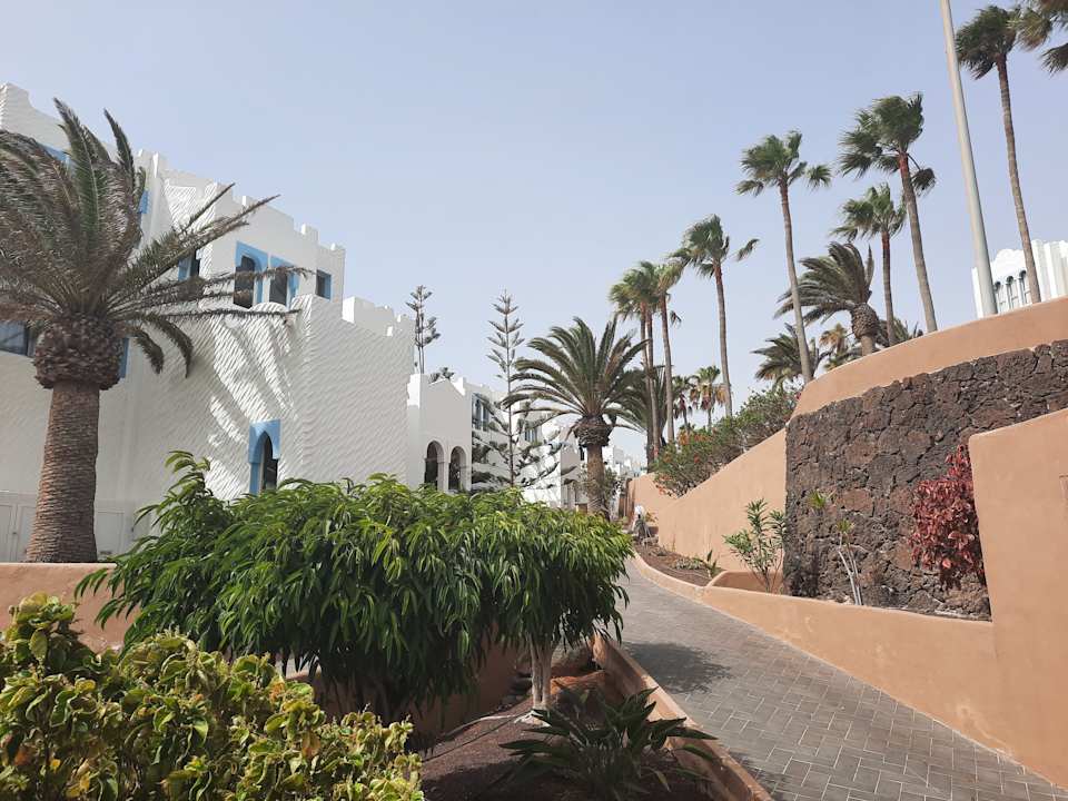 Ausblick Sotavento Beach Club