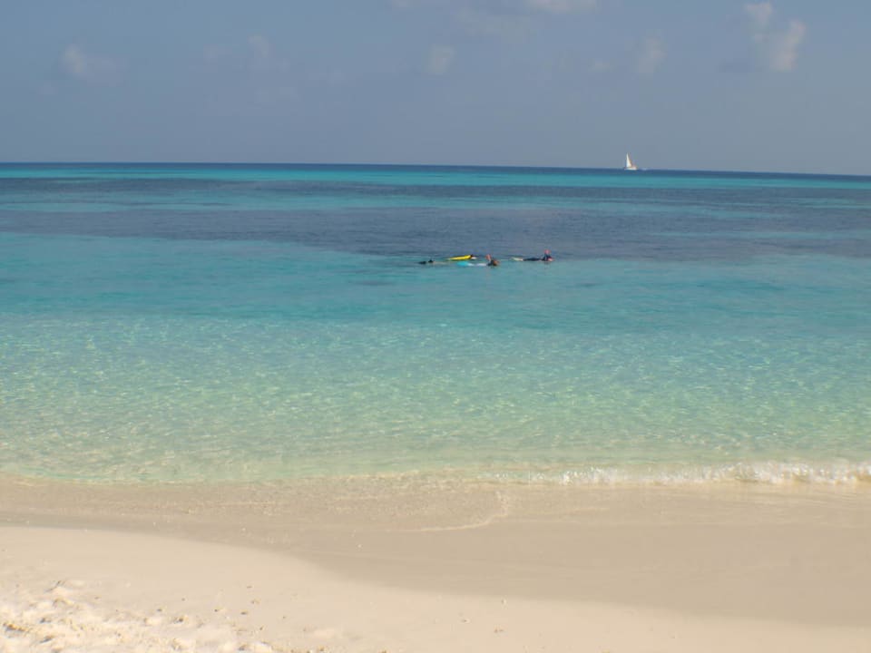 Schnorcheln am Südstrand vor den Jacuzzi Beach Vil Kuredu Island Resort & Spa
