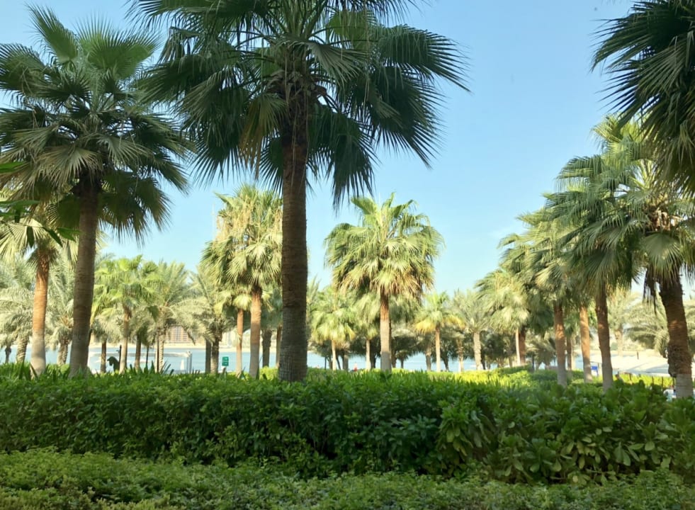 Außenansicht Rixos The Palm Hotel & Suites