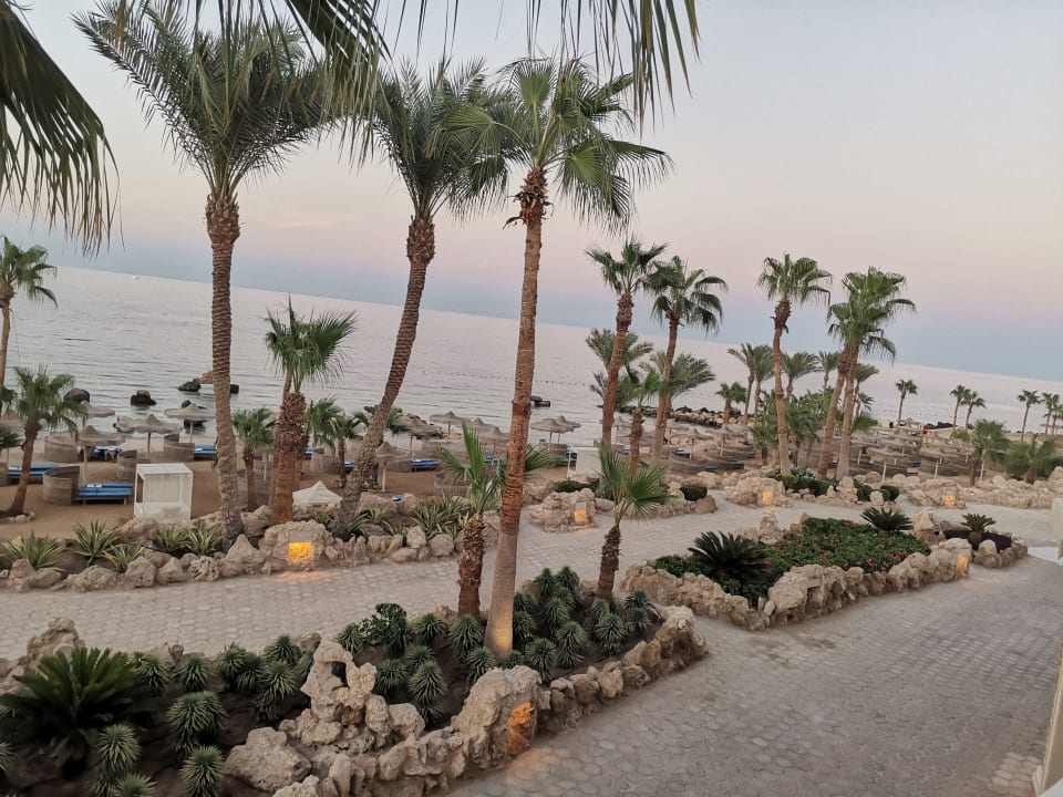 Gartenanlage Pickalbatros Citadel Resort