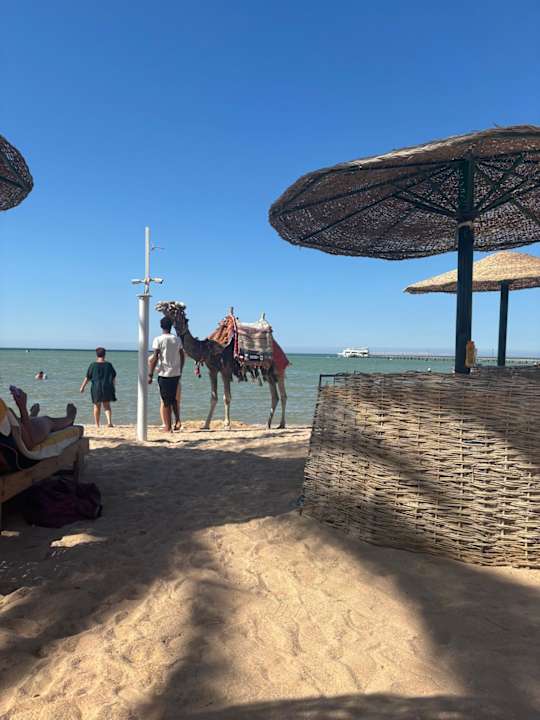 Pool Golden Beach Resort