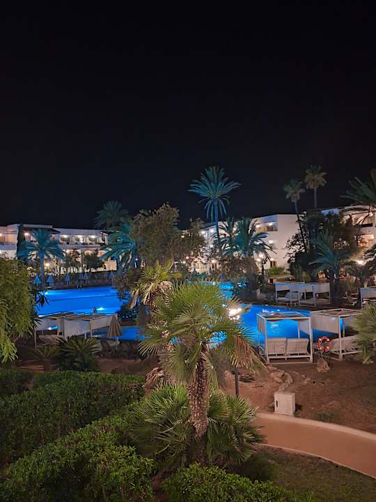 Pool Calimera Fido Gardens