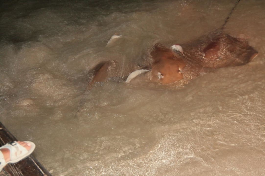 Am Strand Kuramathi Maldives