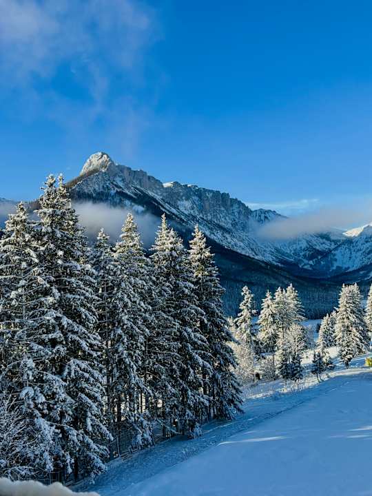 Ausblick Schuster’s Alpenpanorama