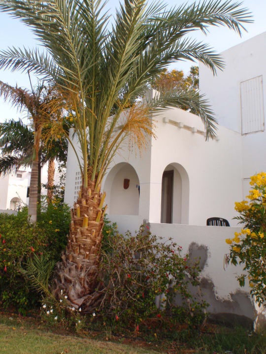 .. Hotel Mercure Hurghada