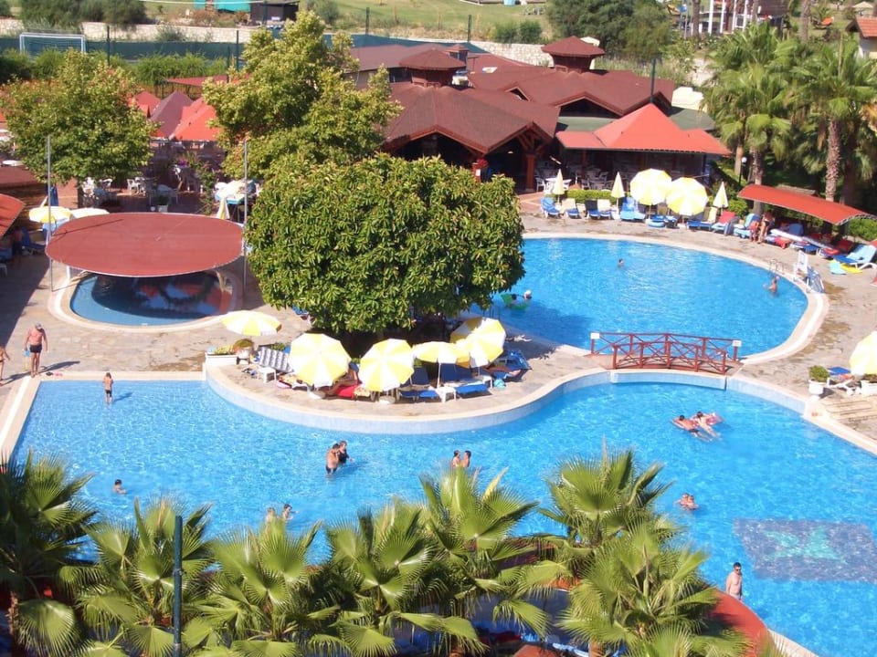 Poolanlage mit Poolbar Miramare Queen Hotel