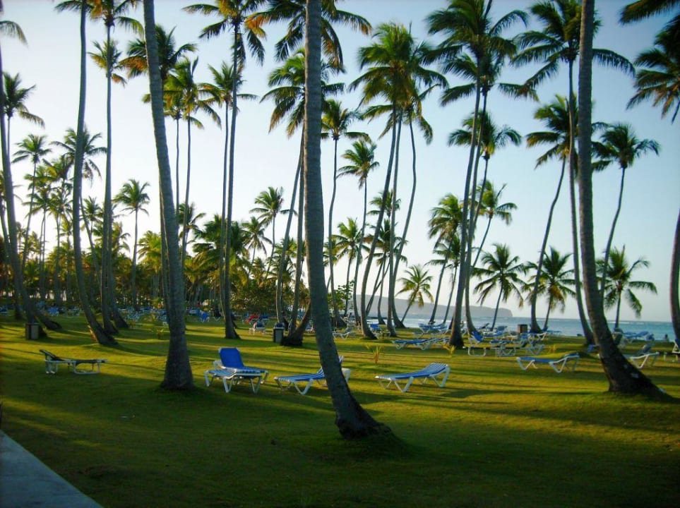 Liegewiese Strand Wyndham Alltra Samana