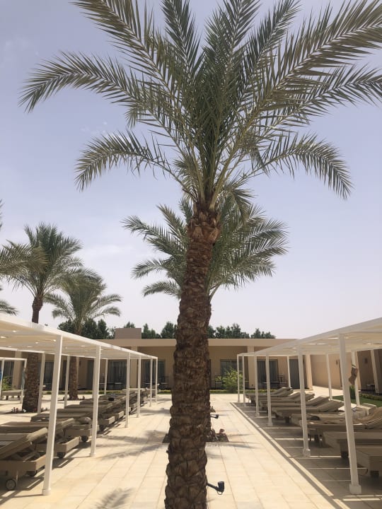 Pool Steigenberger Makadi Hotel - Adults only