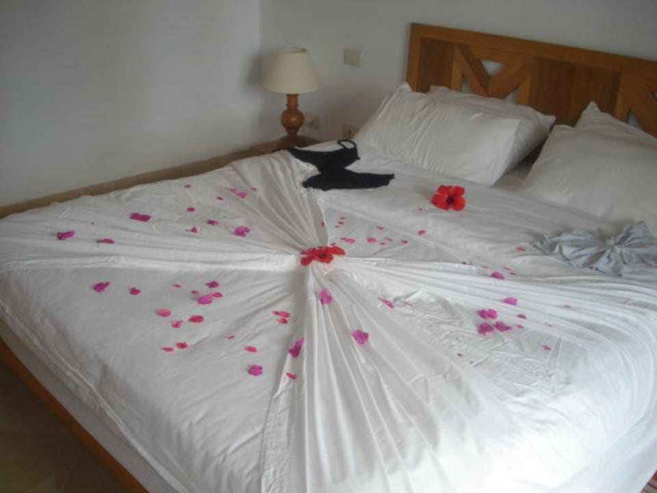 Schön dekoriert The Orangers Beach Resort and Bungalows