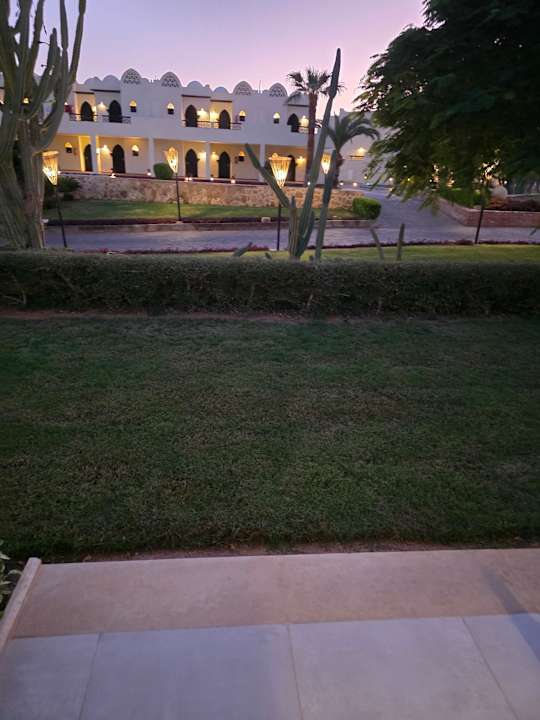 Ausblick Reef Oasis Beach Resort