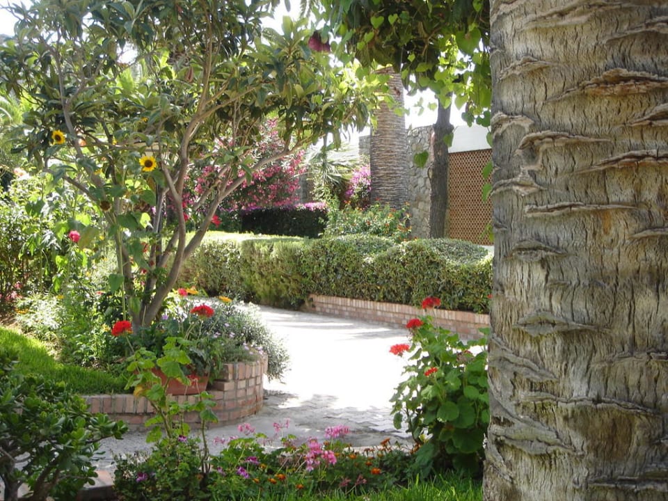 Garten Aldiana Club Rocca Nettuno Calabria