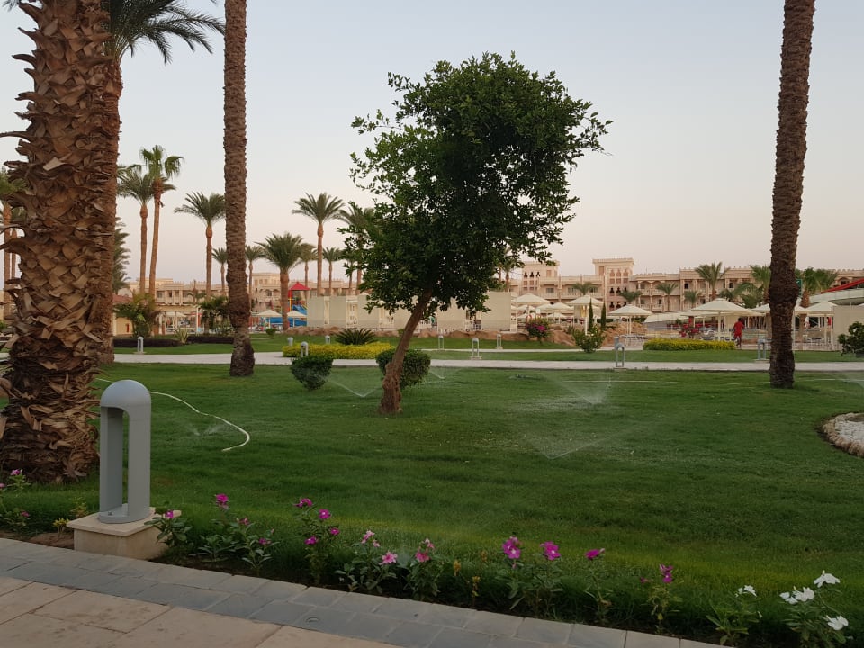 Außenansicht Beach Albatros Resort