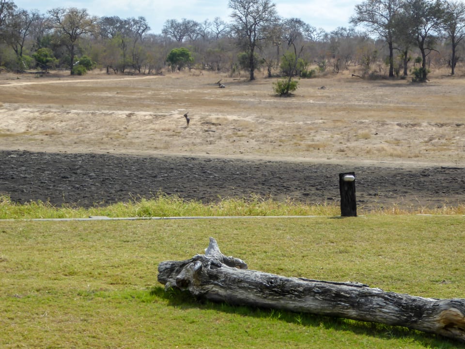 Ausblick Hotel Arathusa Safari Lodge