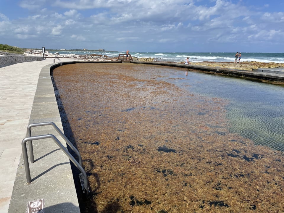 Pool Grand Palladium Select White Sand Resort & Spa