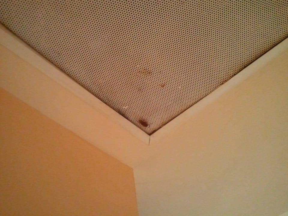 Kakerlake an Klima Zimmer 1082 Costa Calma Beach SBH Costa Calma Beach Resort