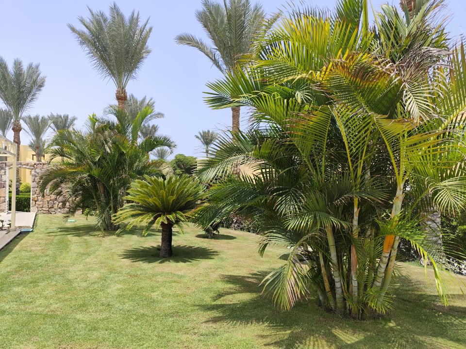 Gartenanlage Jaz Dar EL Madina