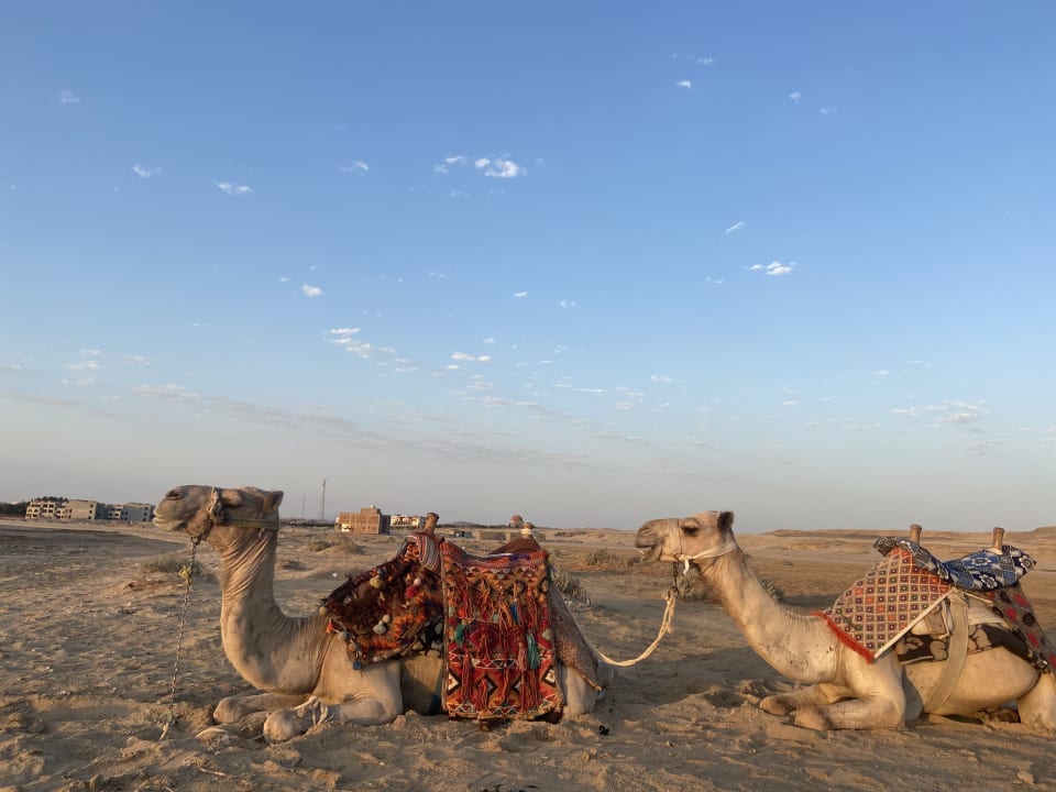 Ausblick Bliss Nada Beach Resort