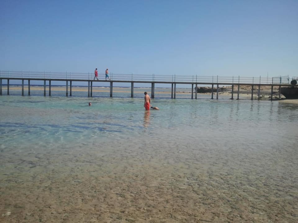 Widok z brzegu Three Corners Happy Life Beach Resort