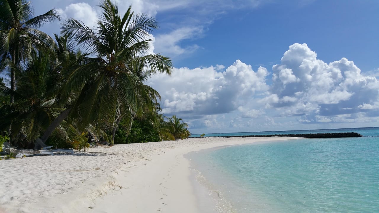 Strand Ostseite  Summer Island Maldives