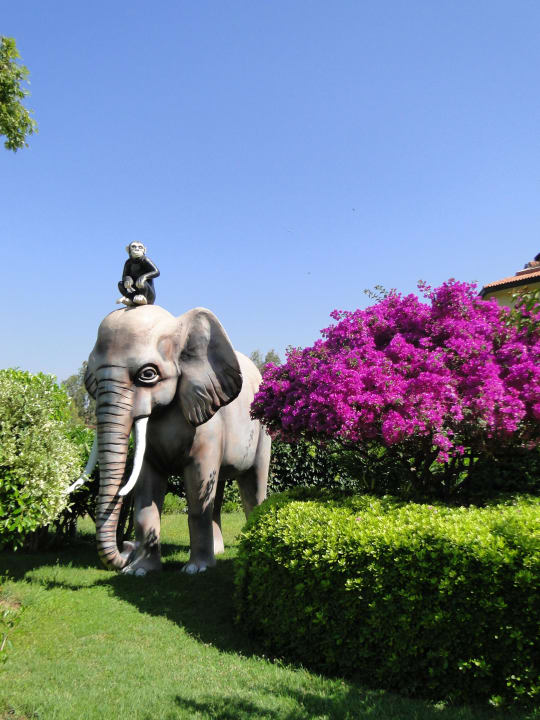 Anlage Alba Resort Hotel