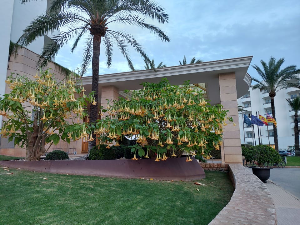 Ausblick Hipotels Bahia Grande