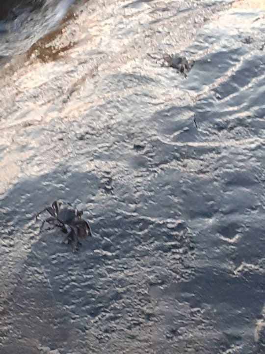 Strand Maistra Select Belvedere Resort