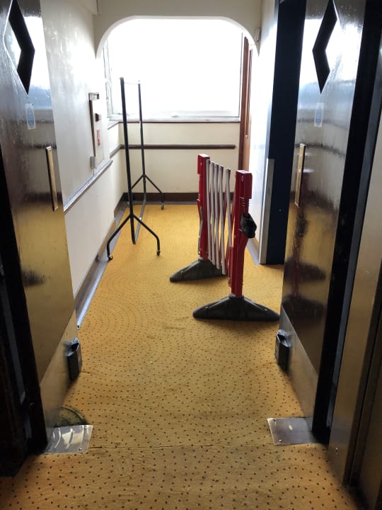 Gastro Treehouse Hotel London