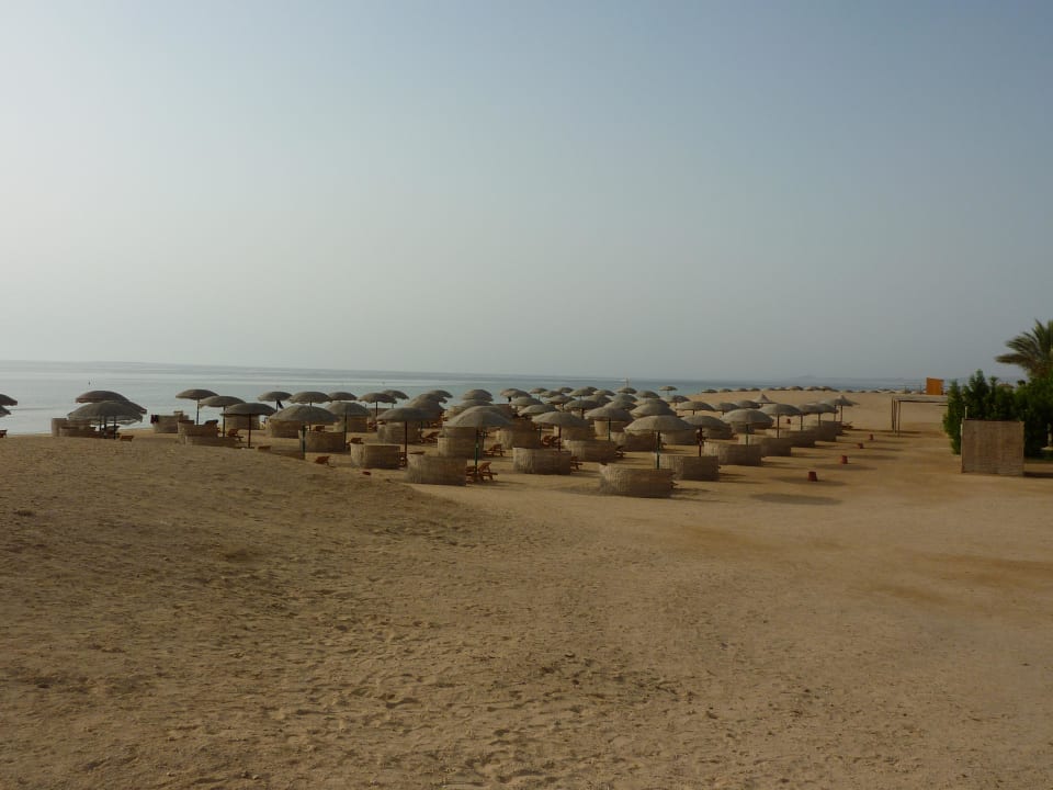 Platz ohne Ende Hotel Gorgonia Beach Resort