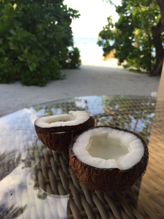 Mozliwosc kupienia za 1 dolara od ogrodnika Summer Island Maldives