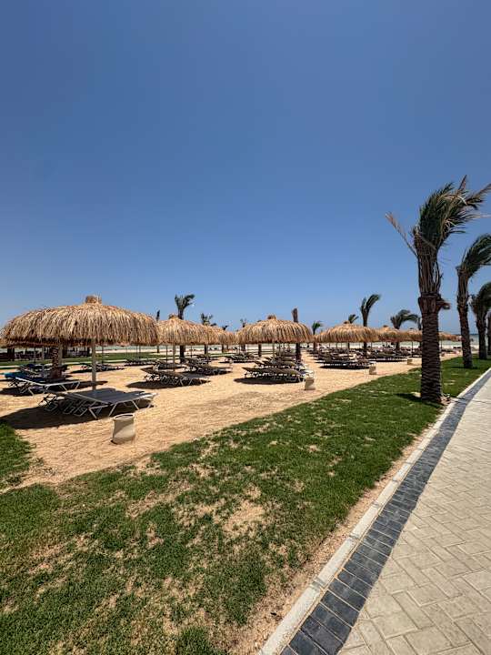 Strand JAZ Elite Asteria