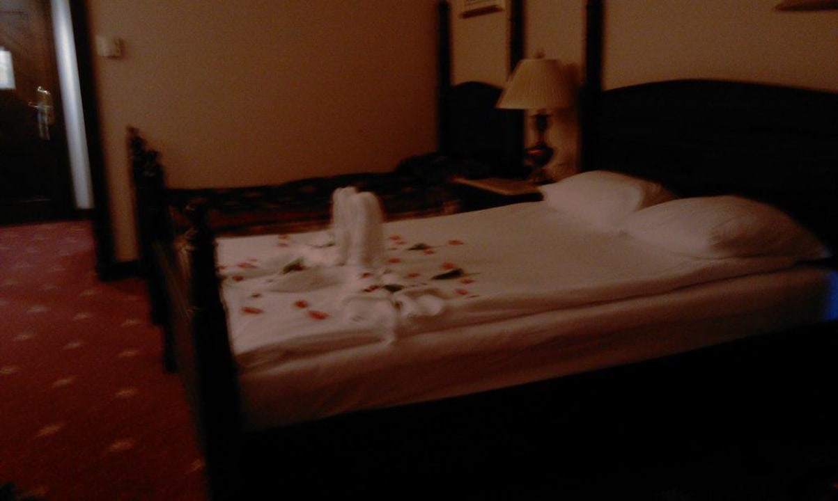 Doppelzimmer Hotel Delphin Palace