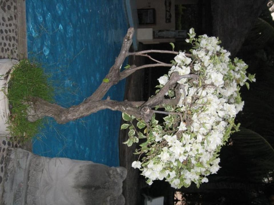 Am Pool Hotel Aneka Lovina