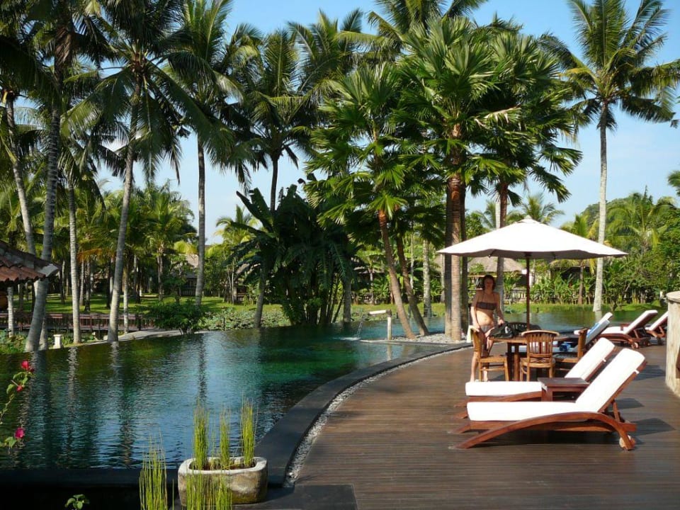 Pool The Ubud Village Resort & Spa