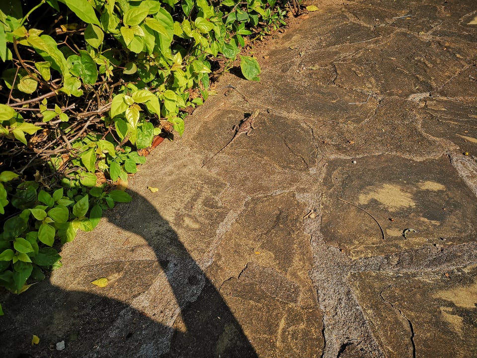 Sonstiges Hotel Southern Palms Beach Resort