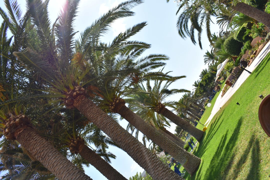 Gartenanlage Anissa Beach & Village