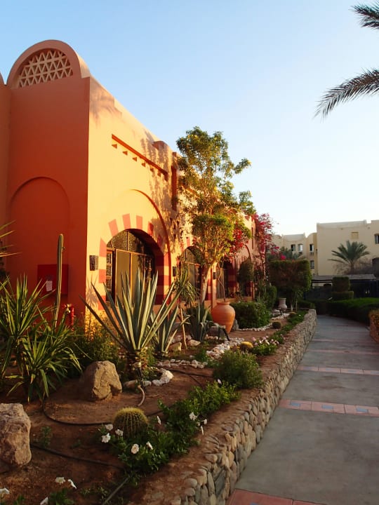 Bepflanzung vorm Eingang Jaz Makadi Oasis Resort