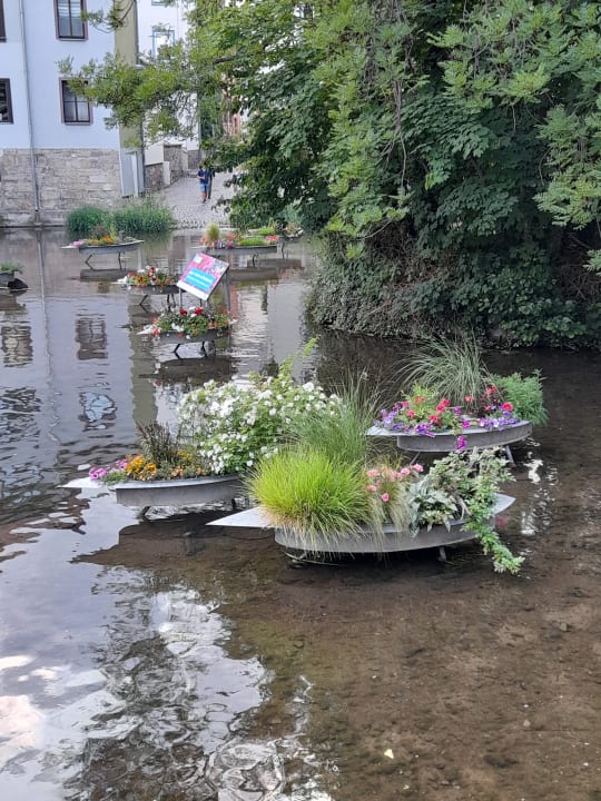 Ausblick H+ Hotel Erfurt