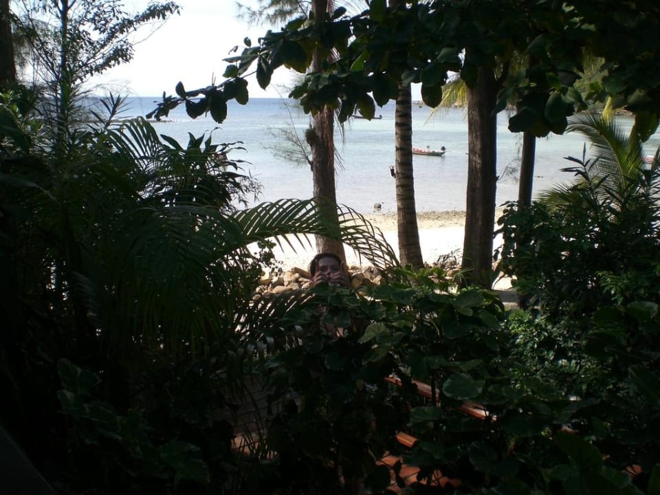 Ausblick vom Zimmer Hotel Salad Hut