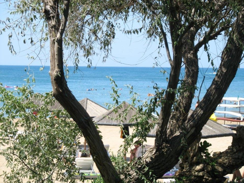 Ausblick von der Bar zu Strand Hotel Defne Garden
